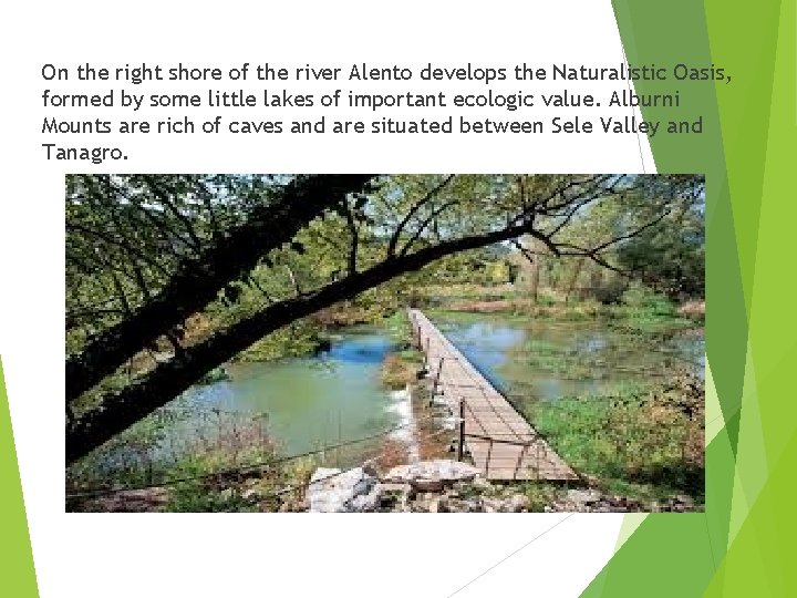 On the right shore of the river Alento develops the Naturalistic Oasis, formed by