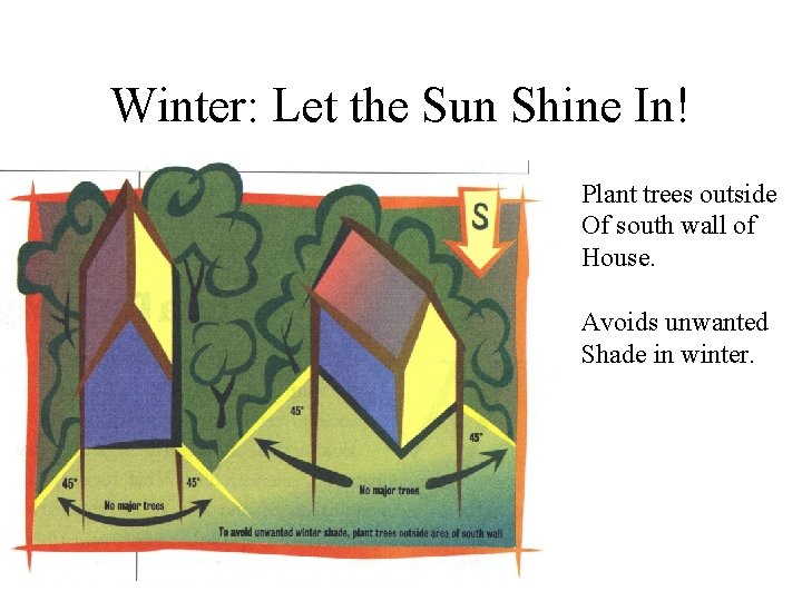 Winter: Let the Sun Shine In! Plant trees outside Of south wall of House.