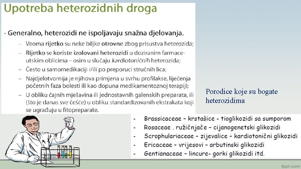 Porodice koje su bogate heterozidima 