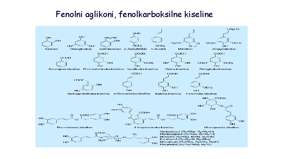 Fenolni aglikoni, fenolkarboksilne kiseline 