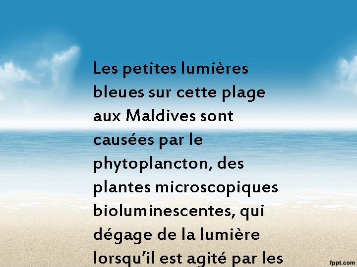 Les petites lumières bleues sur cette plage aux Maldives sont causées par le phytoplancton,