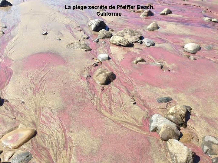 La plage secrète de Pfeiffer Beach, Californie 