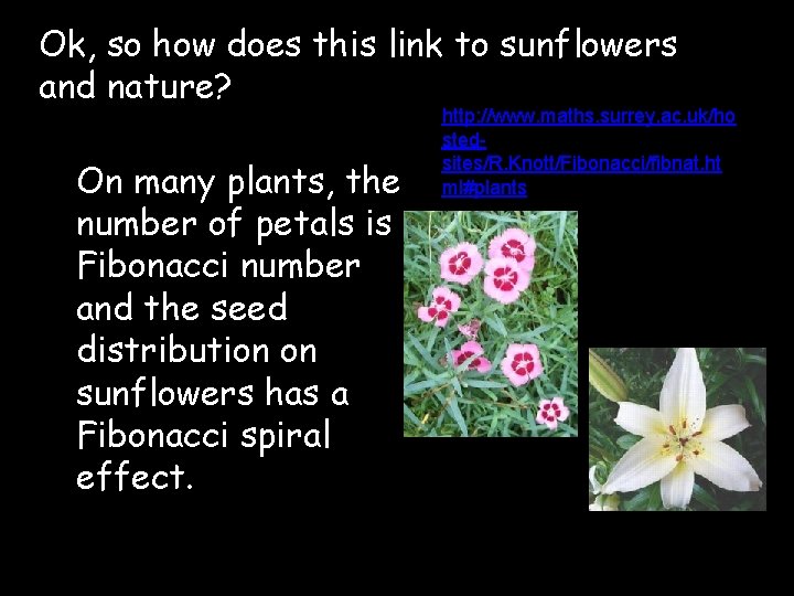 Ok, so how does this link to sunflowers and nature? On many plants, the