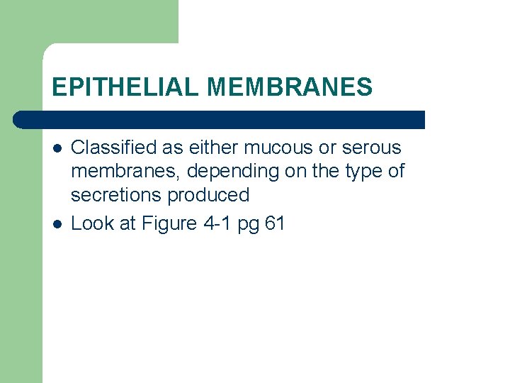 EPITHELIAL MEMBRANES l l Classified as either mucous or serous membranes, depending on the