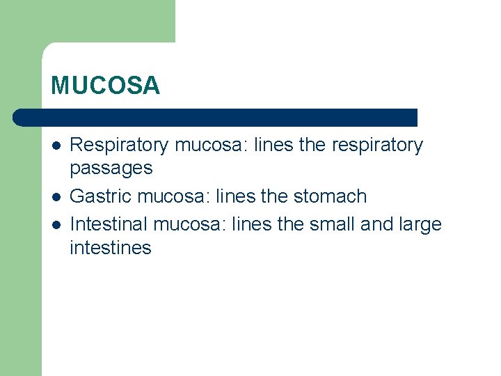 MUCOSA l l l Respiratory mucosa: lines the respiratory passages Gastric mucosa: lines the
