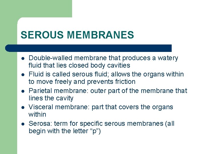 SEROUS MEMBRANES l l l Double-walled membrane that produces a watery fluid that lies