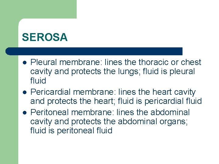 SEROSA l l l Pleural membrane: lines the thoracic or chest cavity and protects