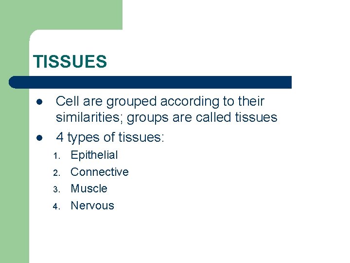 TISSUES l l Cell are grouped according to their similarities; groups are called tissues