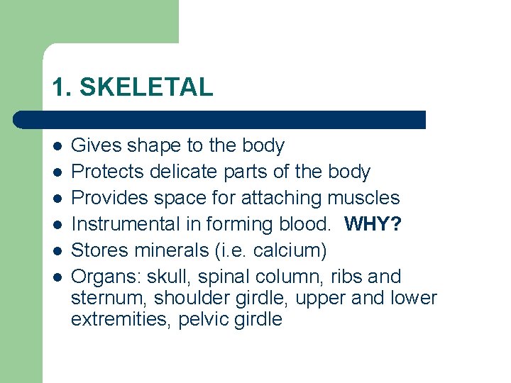 1. SKELETAL l l l Gives shape to the body Protects delicate parts of