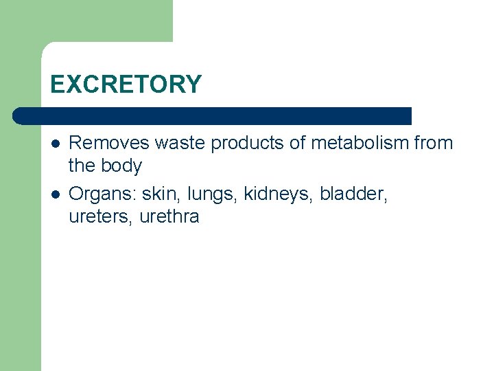EXCRETORY l l Removes waste products of metabolism from the body Organs: skin, lungs,