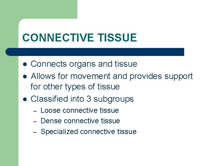 CONNECTIVE TISSUE l l l Connects organs and tissue Allows for movement and provides