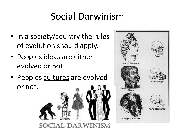 Social Darwinism • In a society/country the rules of evolution should apply. • Peoples