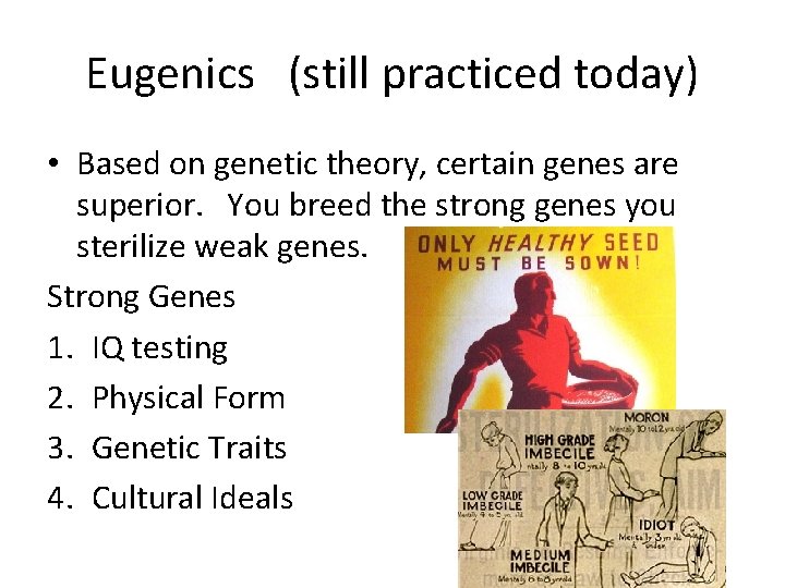 Eugenics (still practiced today) • Based on genetic theory, certain genes are superior. You