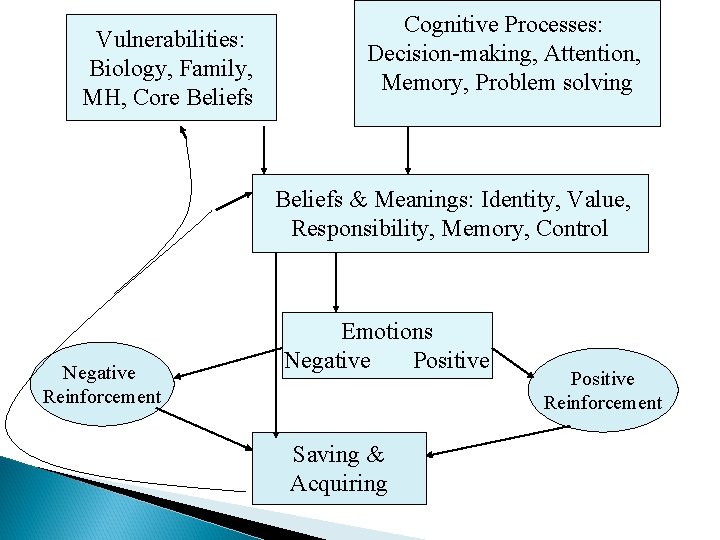 Vulnerabilities: Biology, Family, MH, Core Beliefs Cognitive Processes: Decision-making, Attention, Memory, Problem solving Beliefs