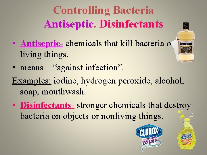 Controlling Bacteria Antiseptic. Disinfectants • Antiseptic- chemicals that kill bacteria on living things. •