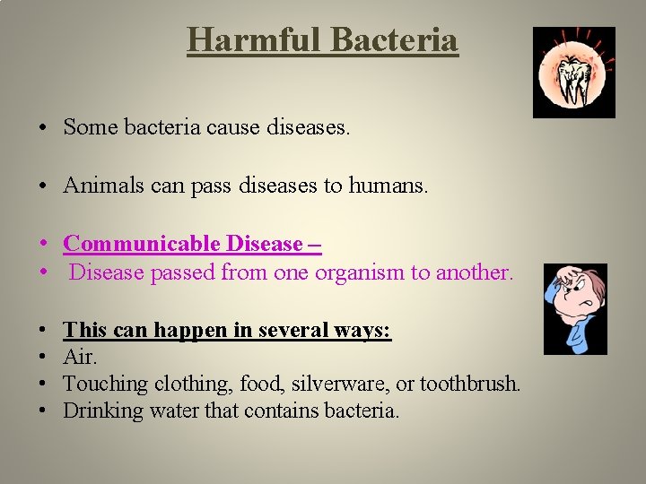 Harmful Bacteria • Some bacteria cause diseases. • Animals can pass diseases to humans.