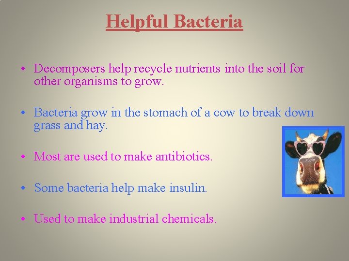 Helpful Bacteria • Decomposers help recycle nutrients into the soil for other organisms to