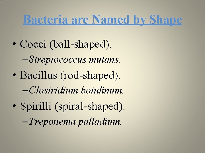 Bacteria are Named by Shape • Cocci (ball-shaped). – Streptococcus mutans. • Bacillus (rod-shaped).