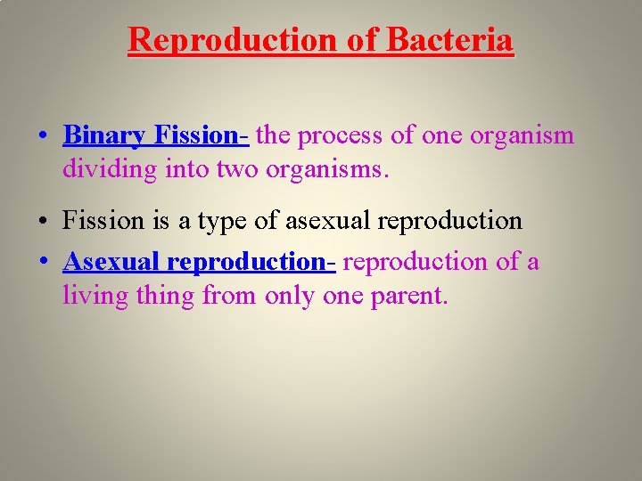 Reproduction of Bacteria • Binary Fission- the process of one organism dividing into two