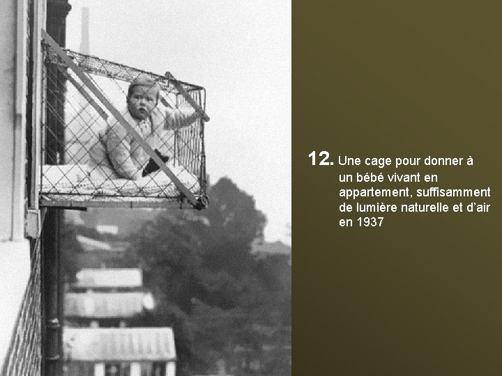 12. Une cage pour donner à un bébé vivant en appartement, suffisamment de lumière