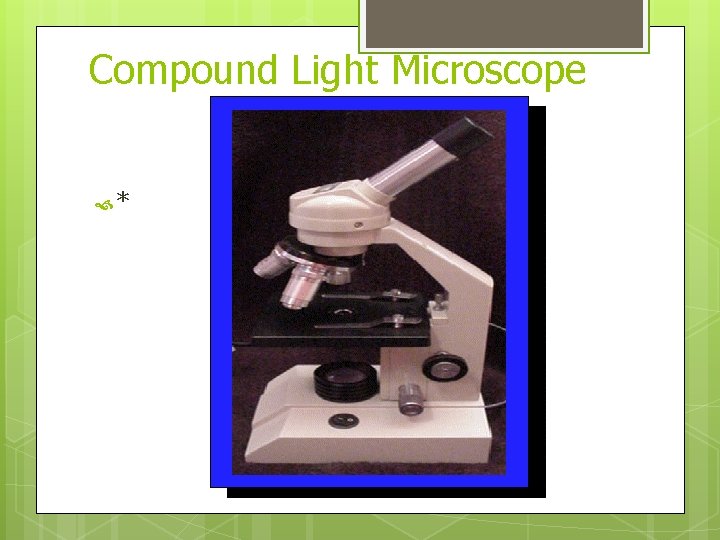 Compound Light Microscope * 