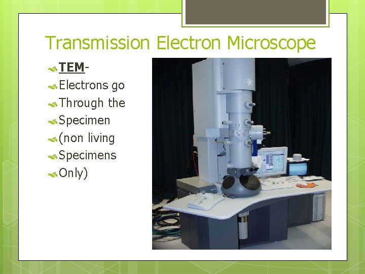 Transmission Electron Microscope TEM Electrons go Through the Specimen (non living Specimens Only) 