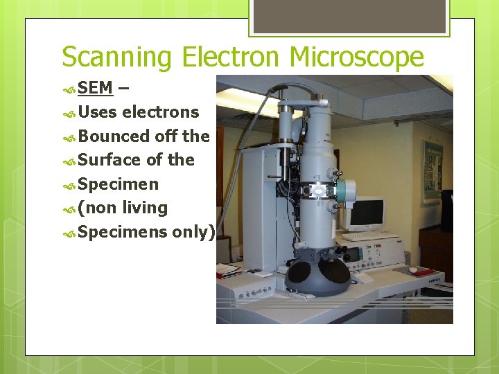 Scanning Electron Microscope SEM – Uses electrons Bounced off the Surface of the Specimen