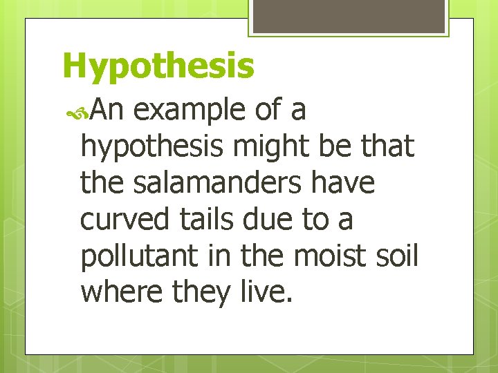 Hypothesis An example of a hypothesis might be that the salamanders have curved tails