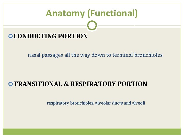 Anatomy (Functional) CONDUCTING PORTION nasal passages all the way down to terminal bronchioles TRANSITIONAL