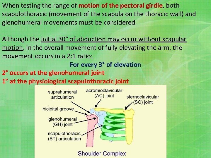 When testing the range of motion of the pectoral girdle, girdle both scapulothoracic (movement