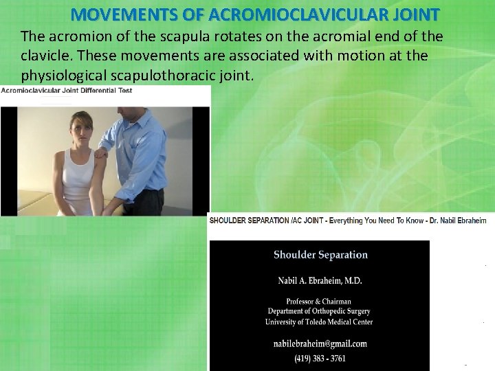 MOVEMENTS OF ACROMIOCLAVICULAR JOINT The acromion of the scapula rotates on the acromial end