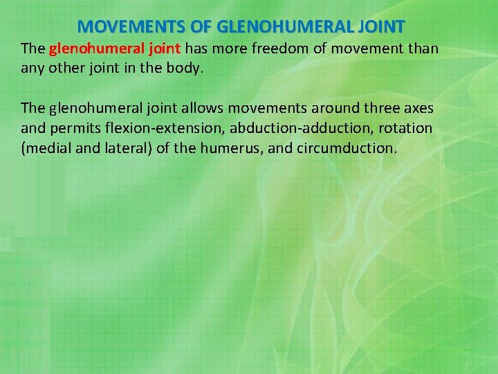 MOVEMENTS OF GLENOHUMERAL JOINT The glenohumeral joint has more freedom of movement than any