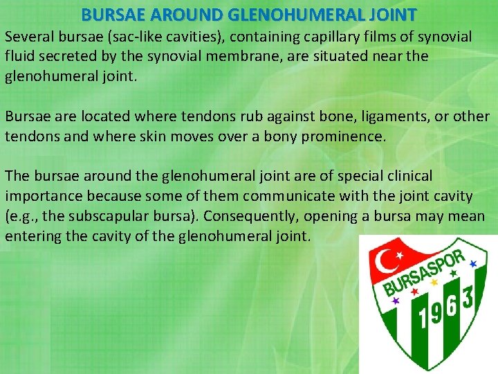 BURSAE AROUND GLENOHUMERAL JOINT Several bursae (sac-like cavities), containing capillary films of synovial fluid