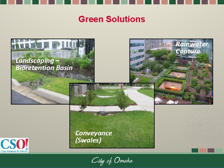 Green Solutions Rainwater Capture Landscaping – Bioretention Basin Conveyance (Swales) 