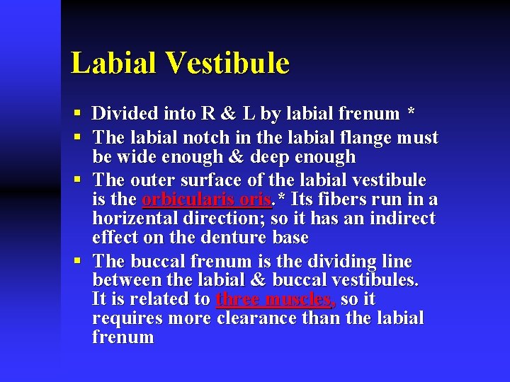 Labial Vestibule § Divided into R & L by labial frenum * § The