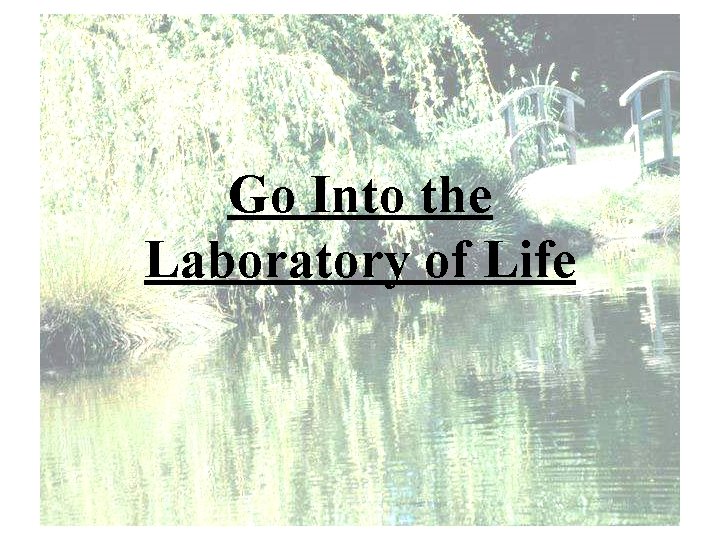 Go Into the Laboratory of Life 