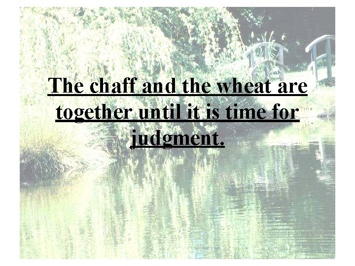 The chaff and the wheat are together until it is time for judgment. 