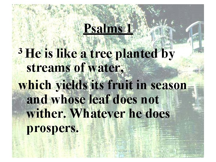 Psalms 1 3 He is like a tree planted by streams of water, which