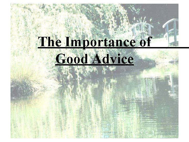 The Importance of Good Advice 