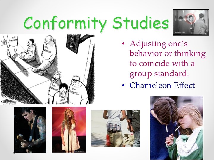 Conformity Studies • Adjusting one’s behavior or thinking to coincide with a group standard.