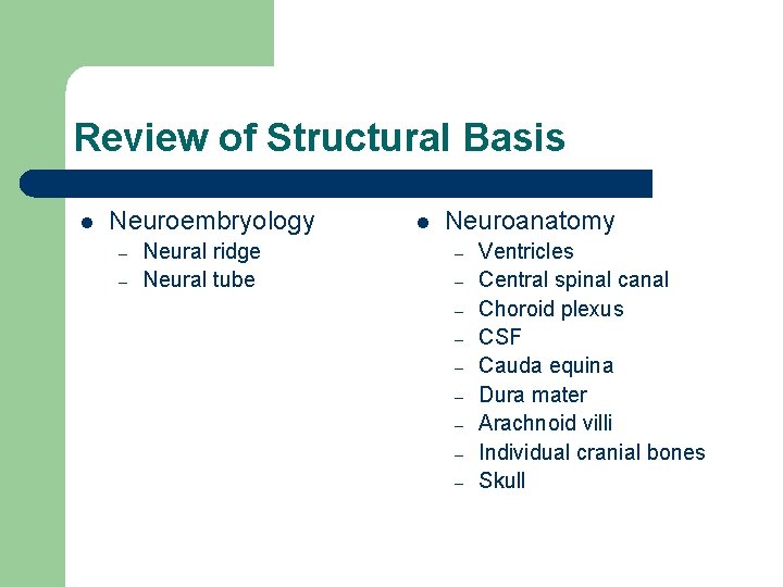 Review of Structural Basis l Neuroembryology – – Neural ridge Neural tube l Neuroanatomy