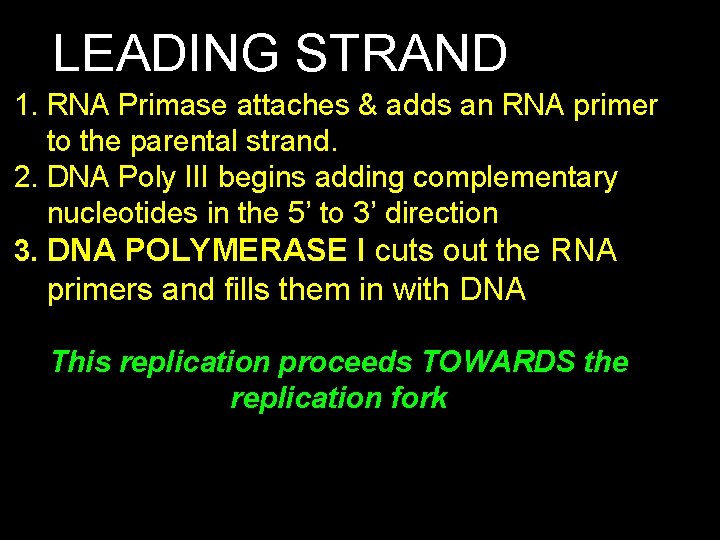 LEADING STRAND 1. RNA Primase attaches & adds an RNA primer to the parental