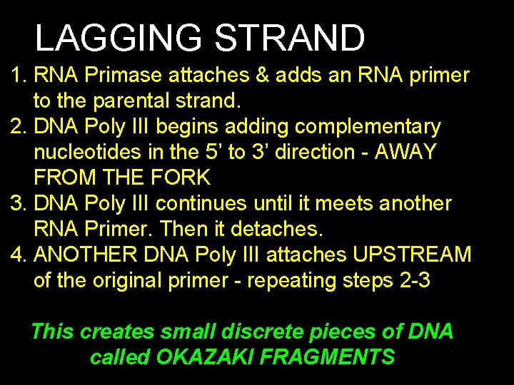 LAGGING STRAND 1. RNA Primase attaches & adds an RNA primer to the parental