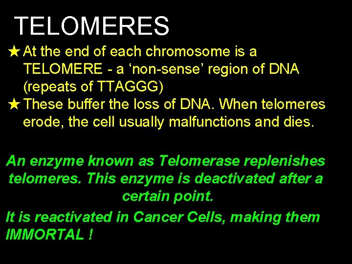 TELOMERES ★At the end of each chromosome is a TELOMERE - a ‘non-sense’ region