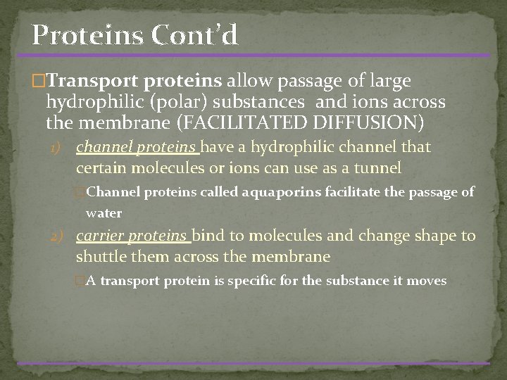 Proteins Cont’d �Transport proteins allow passage of large hydrophilic (polar) substances and ions across