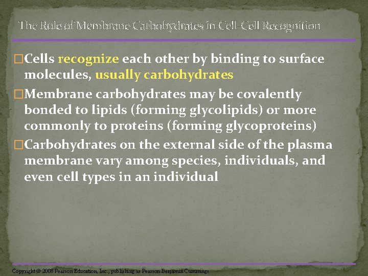 The Role of Membrane Carbohydrates in Cell-Cell Recognition �Cells recognize each other by binding