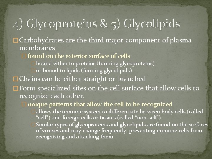 4) Glycoproteins & 5) Glycolipids � Carbohydrates are third major component of plasma membranes