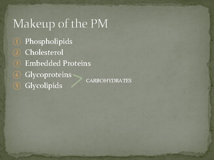 Makeup of the PM ① Phospholipids ② Cholesterol ③ Embedded Proteins ④ Glycoproteins ⑤