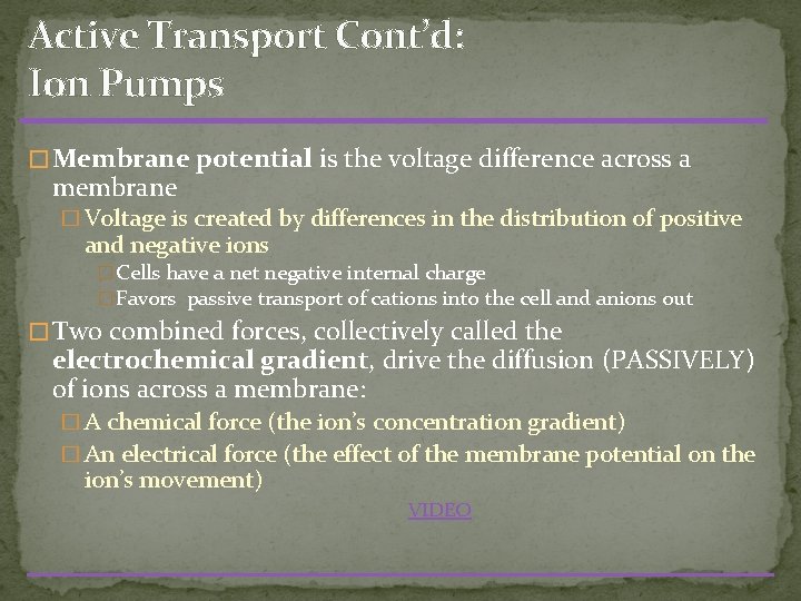 Active Transport Cont’d: Ion Pumps � Membrane potential is the voltage difference across a