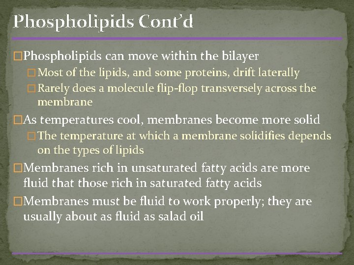 Phospholipids Cont’d �Phospholipids can move within the bilayer � Most of the lipids, and
